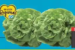 E-Center Kopfsalat Angebot