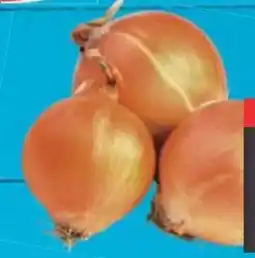 E-Center Gut & Günstig Zwiebeln Angebot