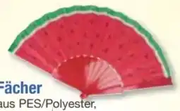 E-Center Fächer Angebot