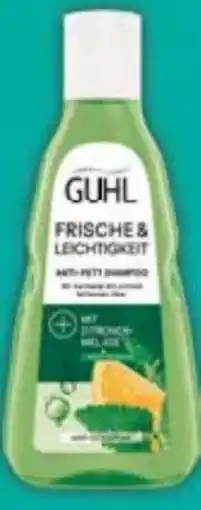 E-Center Guhl Shampoo Angebot