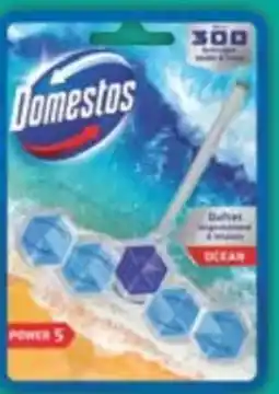 E-Center Domestos WC-Stein Angebot
