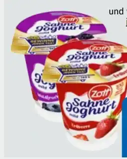 Edeka Xpress Zott Sahne Joghurt Angebot