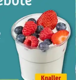 REWE Center Quark mit Früchten Angebot