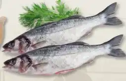 Edeka Frischemarkt Loup de Mer Angebot