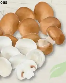 Edeka Frischemarkt Champignons Angebot