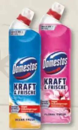 Edeka Frischemarkt Domestos WC Gel Kraft & Frische Angebot