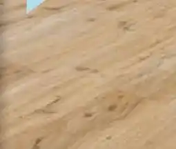 Hellweg Specht Holzprodukte Laminatboden Classic Angebot