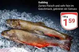 Globus Saibling Angebot