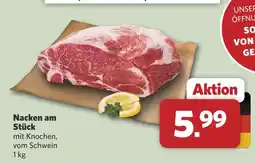 Combi Nacken am stück Angebot