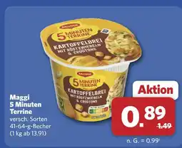 Combi Maggi 5 minuten terrine Angebot