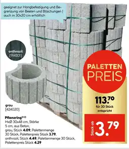 Hellweg Pflanzring grau Angebot