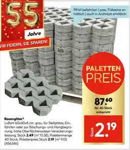 Hellweg Rasengitter Angebot