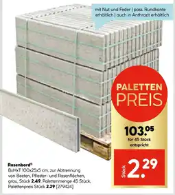 Hellweg Rasenbord Angebot