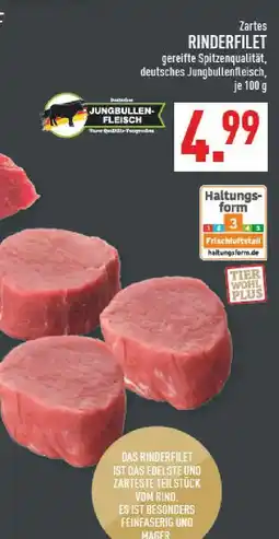 Marktkauf Rinderfilet Angebot