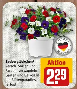 nahkauf Zauberglöckchen Angebot