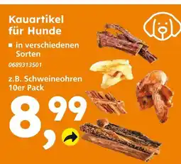 Globus Baumarkt Kauartikel für hunde Angebot