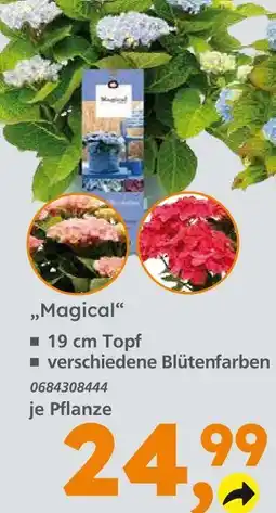 Globus Baumarkt Magical Angebot