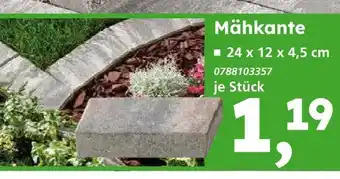 Globus Baumarkt Mähkante Angebot