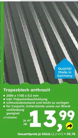 Globus Baumarkt Trapezblech anthrazit Angebot