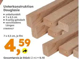 Globus Baumarkt Unterkonstruktion douglasie Angebot