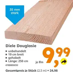 Globus Baumarkt Diele douglasie Angebot