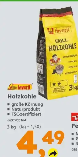 Globus Baumarkt Favorit grill-holzkohle Angebot