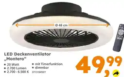Globus Baumarkt Led deckenventilator montero Angebot