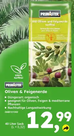 Globus Baumarkt Primaster oliven & feigenerde Angebot