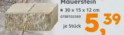 Globus Baumarkt Mauerstein Angebot
