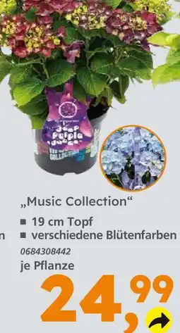 Globus Baumarkt Music collection Angebot