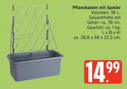 Marktkauf Pflanzkasten mit spalier Angebot