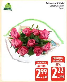 Marktkauf Edelrosen 9 stiele Angebot
