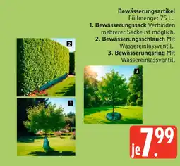 Marktkauf Bewässerungssack Angebot