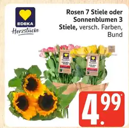Marktkauf Edeka herzstücke rosen 7 stiele Angebot