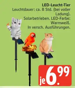 Marktkauf Led-leucht-tier katze Angebot