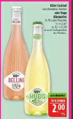 Marktkauf Käfer bellini Angebot