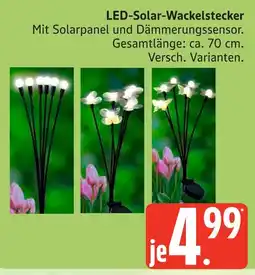 Marktkauf Led-solar-wackelstecker Angebot
