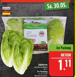 Marktkauf Behr kleine römersalatherzen Angebot