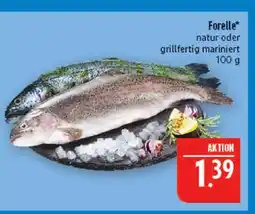 Marktkauf Forelle Angebot