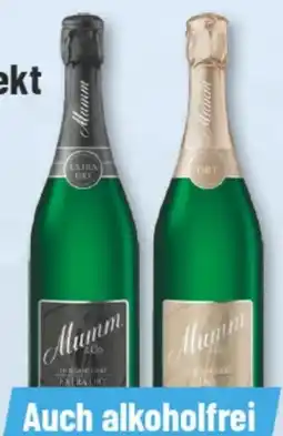 trinkgut Mumm & Co. Jahrgangssekt Angebot