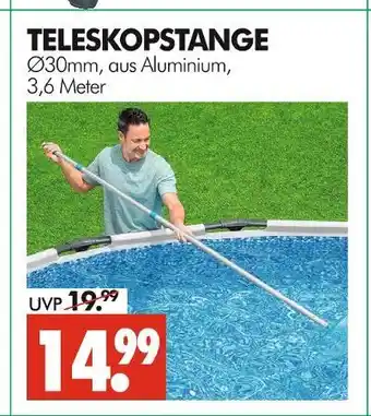 Wreesmann Teleskopstange Angebot