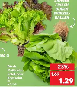 Kaufland Dtsch. Multicolor Salat oder Kopfsalat Angebot