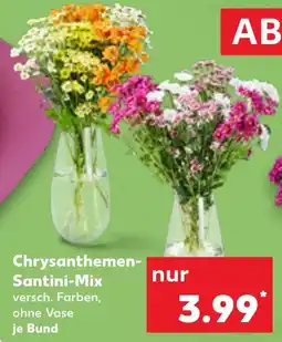 Kaufland Chrysanthemen Santini-Mix Angebot