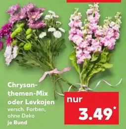 Kaufland Chrysanthemen-Mix oder Levkojen Angebot