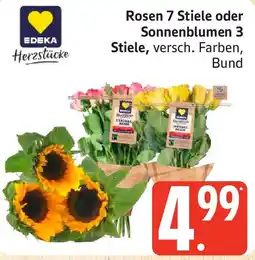 Edeka Rosen 7 Stiele oder Sonnenblumen 3 Stiele Angebot