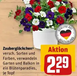 REWE Zauberglöckchen Angebot