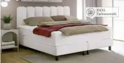 XXXLutz Esposa Boxspringbett Angebot