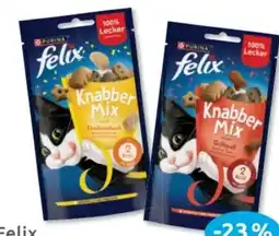 Budni Purina Felix Katzensnack Angebot