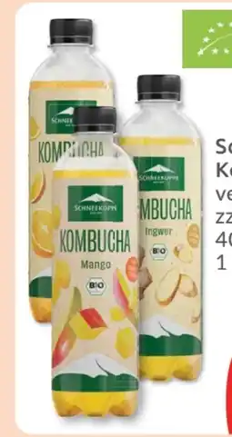 Budni Schneekoppe Kombucha Original Angebot