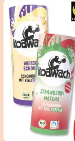 Budni Koawach Bio-Schoko-Drink Angebot